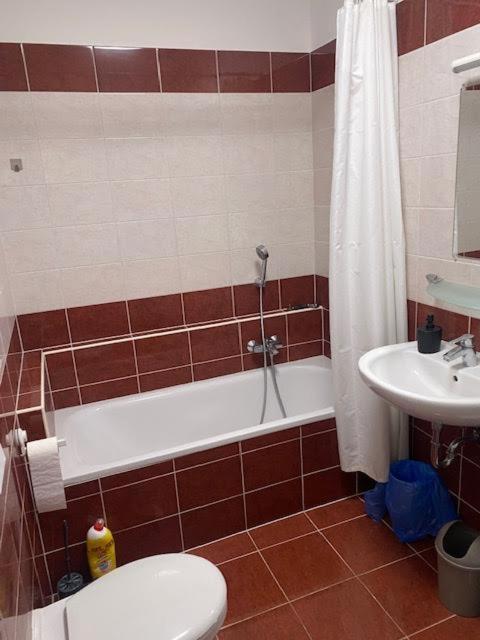 Roland Apartment Downtown - Garay Budapeşte Dış mekan fotoğraf